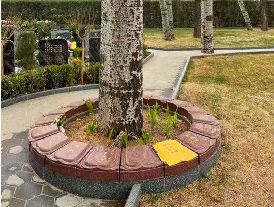 2024年天寿陵园树葬价格多少钱？