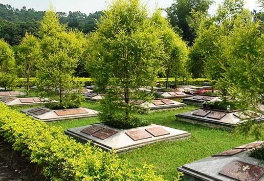 北京树葬需要多少钱